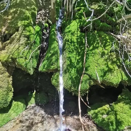 Enjoy