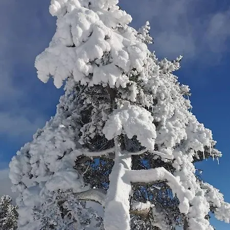 Enjoy Alpesi faház *